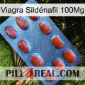 Viagra Sildénafil 100Mg 06